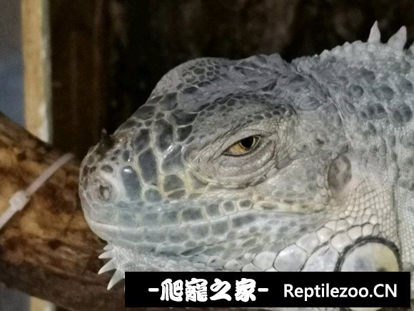 200026xejokj9z8ottkpkf.jpg