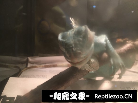 213325r030ol5ixkkoko4x.jpg