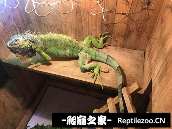 012510i0yi9gj6sb7j7092.jpg