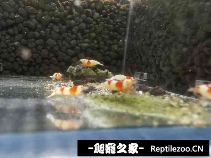 024920g7p967mq6oa545bg.jpg