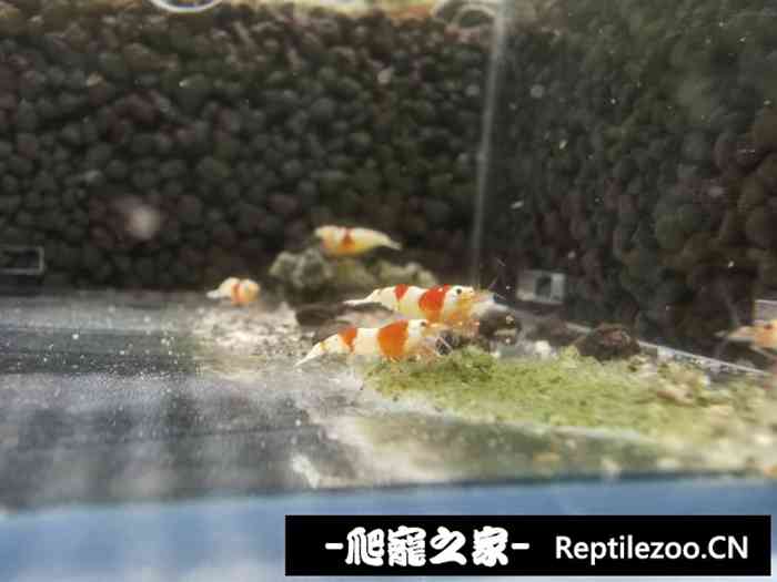 024921razzgnfsmx2tm427.jpg