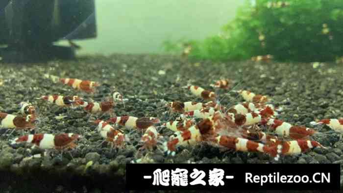 024925jujj8f046hzt06oj.jpg