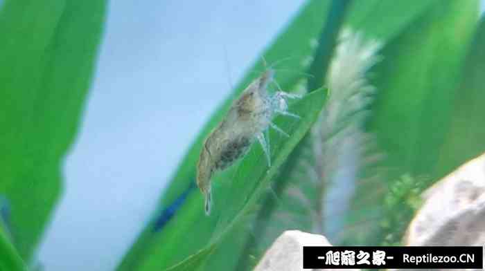 025205ecc84x9zcct8pm9c.jpg