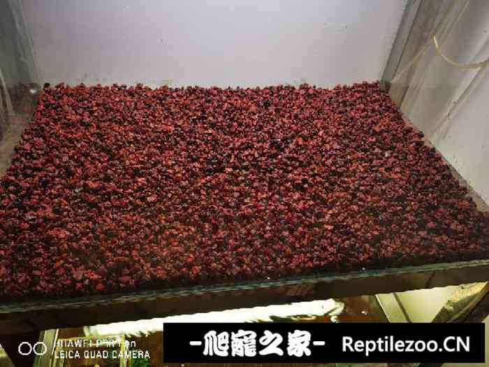 025541mc2rnss1wd2ccet1.jpg