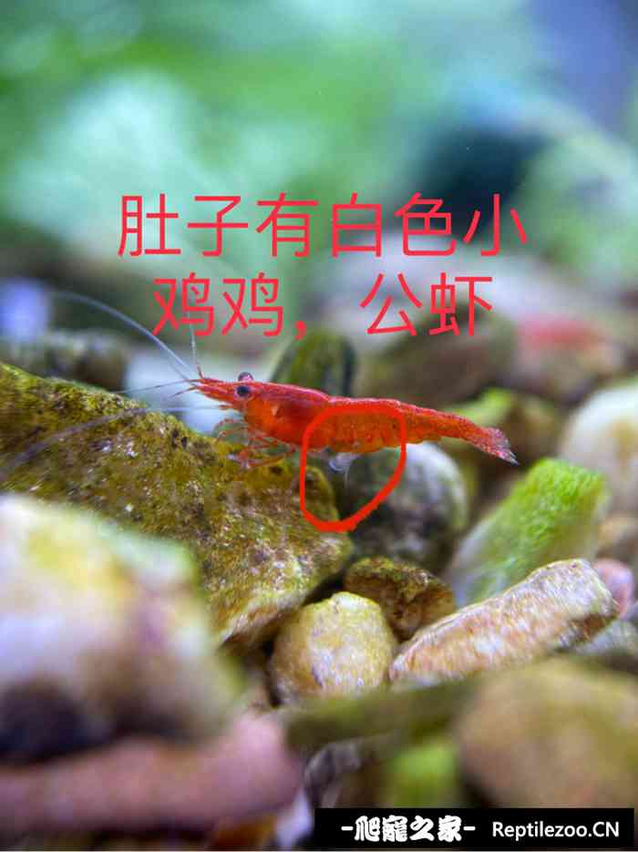 032643tjcmxgjxrfum3in9.jpg