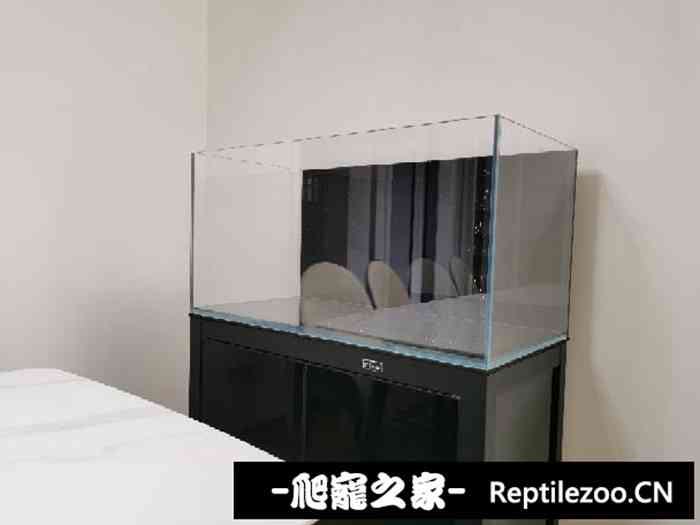 033132uucubsu95p9x8z2i.jpg