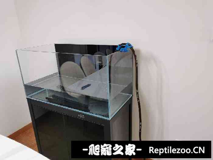 033132v392h22be397we3u.jpg