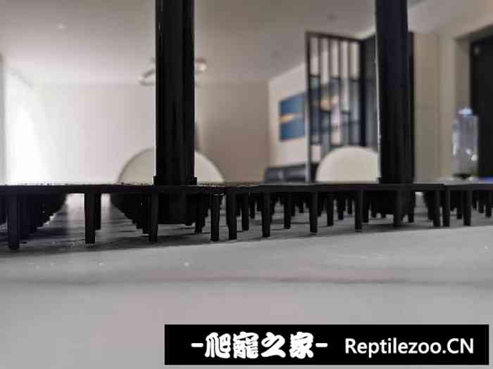 033133uxpzp842g6gvgyw6.jpg