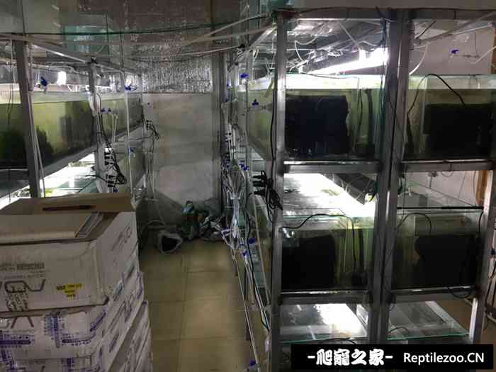 033311egloef44tptkg4lg.jpg