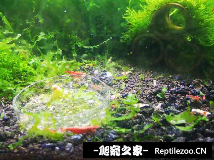 041016f4jm1m4jfujvl1wj.jpg