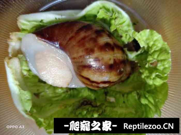 041450rjqfvwkq5vqpxfdq.jpg