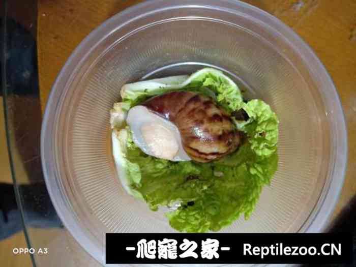 041451tdhjq9d1biyg9pyp.jpg