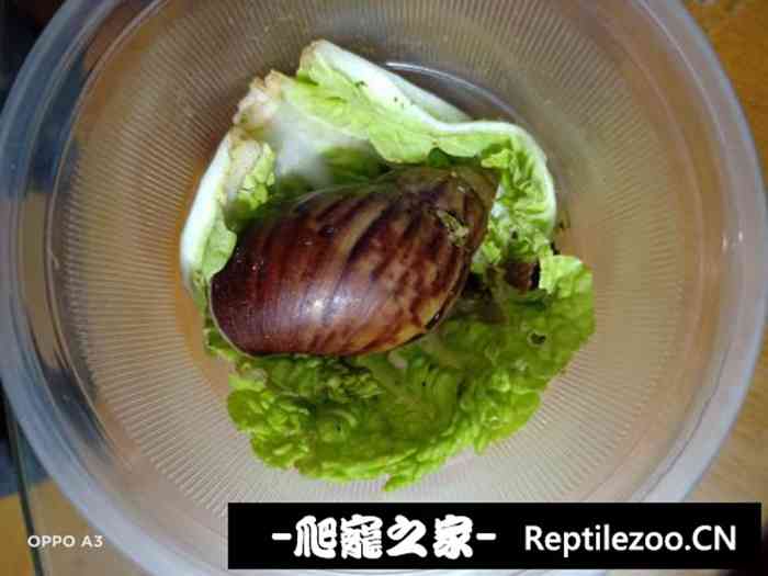 041451z0qpi4p3xzv09pi3.jpg