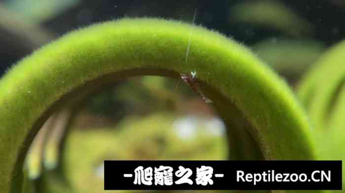 041746uny6td79tvpkvk6h.jpg