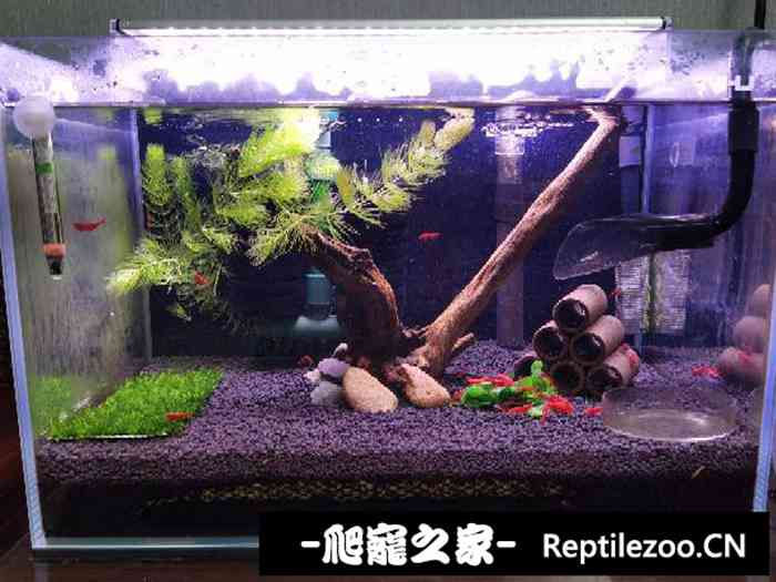 041904yjz4dhpha4pjddjp.jpg
