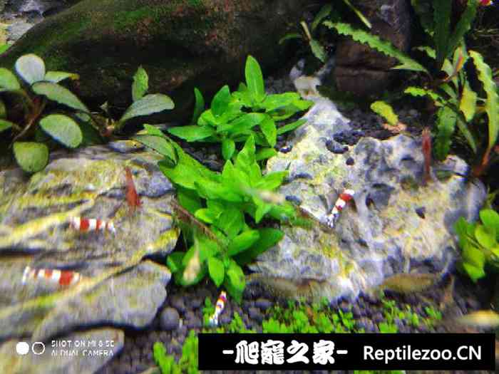 041919zgztwr1sdtwwstnd.jpg