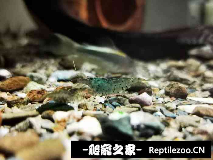 041930bvdqx47cxlt11cit.jpg