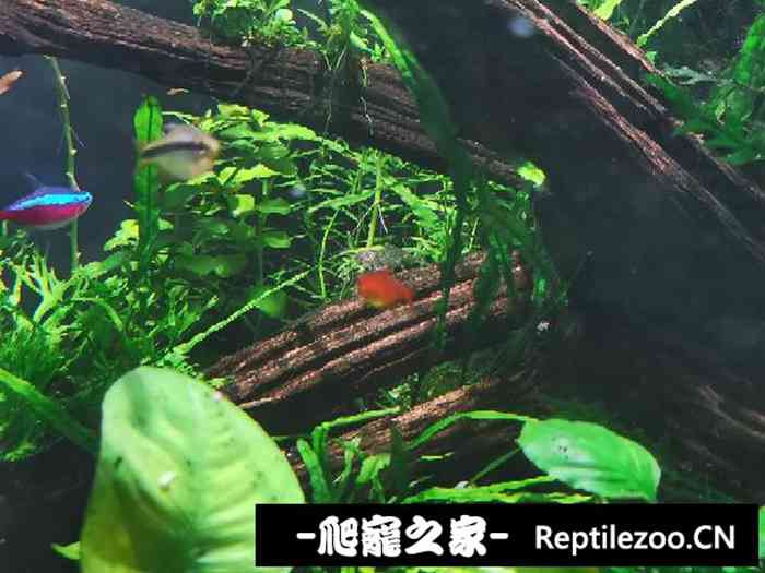 042046lzf68sfjsw8izk1p.jpg