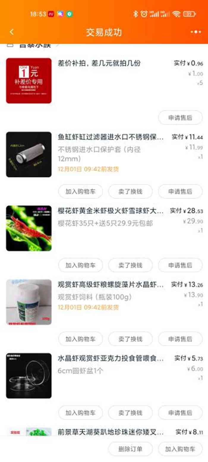 042107v8le264pu2gb795q.jpg