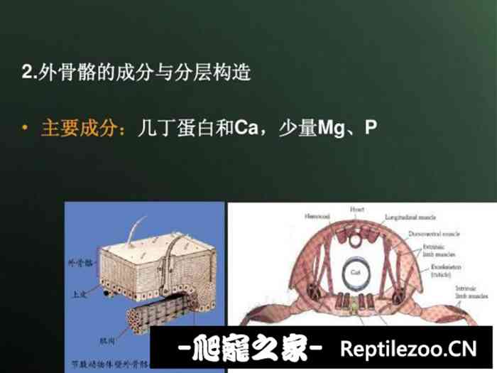 042228jrwwwkxwwzzka7w4.jpg
