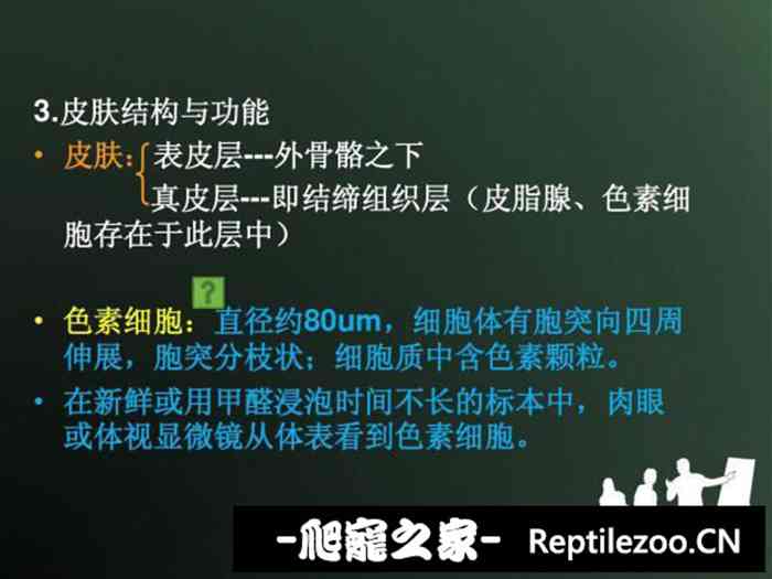 042229gtyy2a6j23pai3lf.jpg