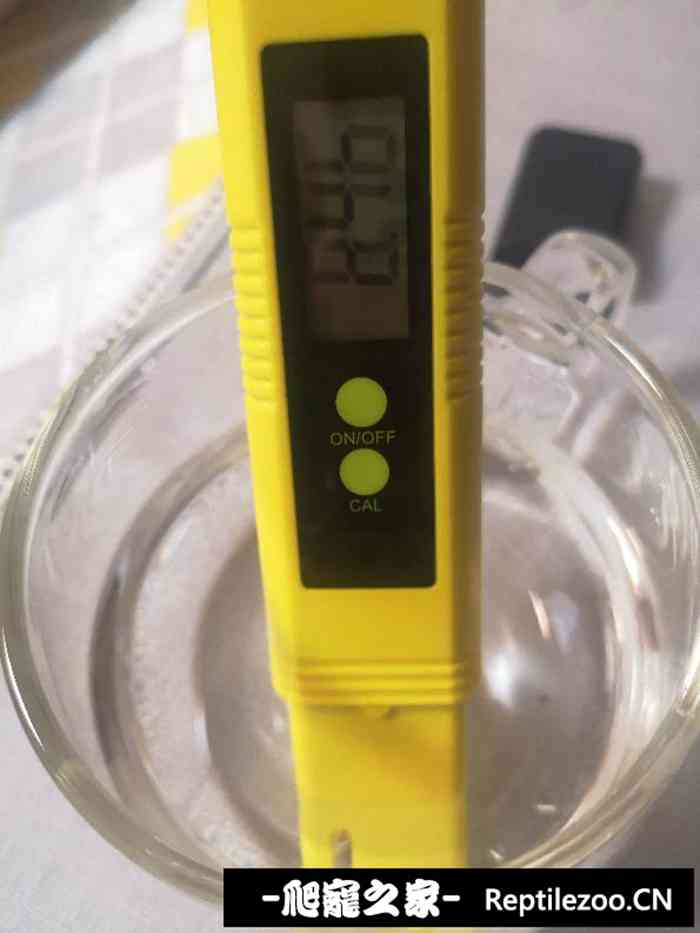 042650s39ogwkkjxqjwxxq.jpg