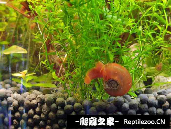042927jqbtblgvgbm81qg8.jpg