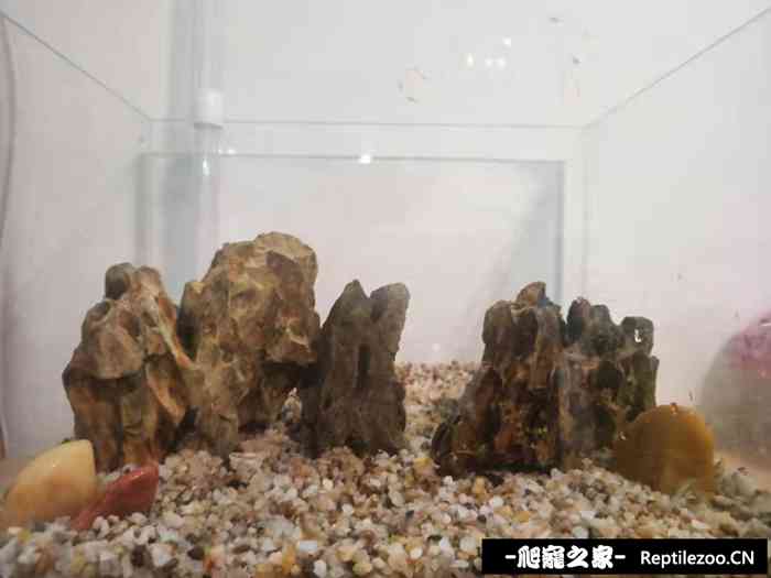 043716ao8qvqqgw8q88giq.jpg