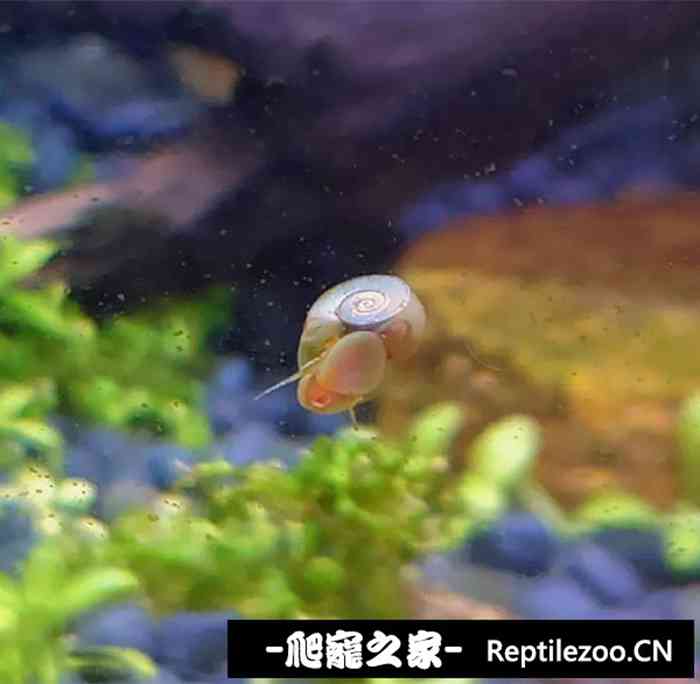 051542gz9ozo96hsjaoua0.jpg