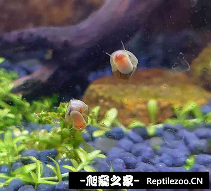 051542njjqbtjzp7d2bu7p.jpg