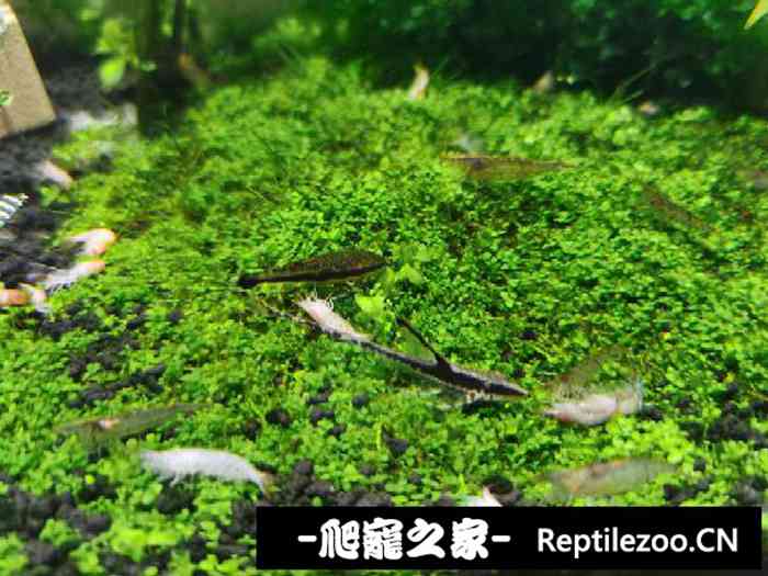 051643j8dnkpedl8dc29ae.jpg