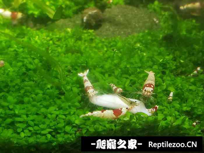 052137z198bsllxgdeod1f.jpg