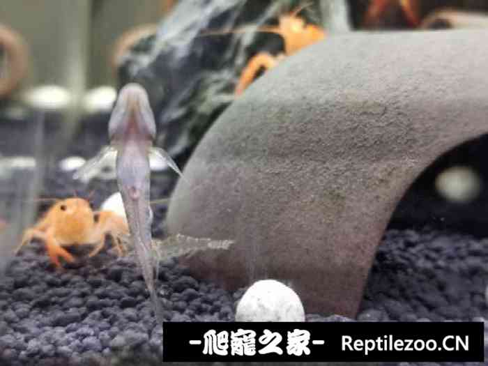 052324b1kbnjrpcm88az5r.jpg