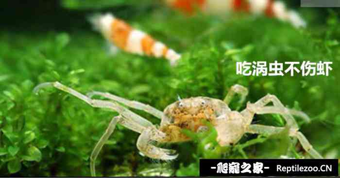 052453btphv6y1r3bf1qt8.jpg