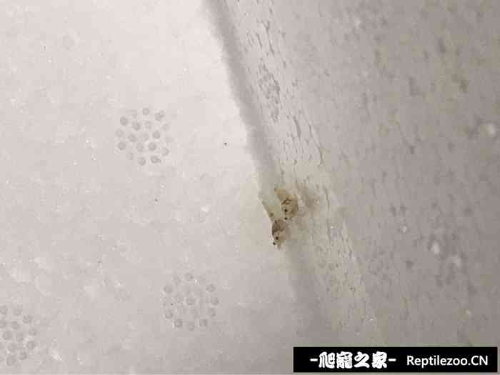 054507dff2u5mnpjp0nixm.jpg