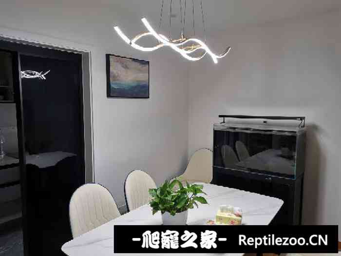 060012bifwzw2b37kcjrrw.jpg