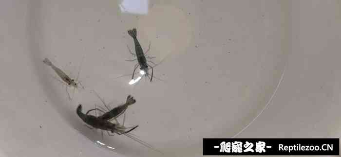 064506i51bao3a596azbpa.jpg
