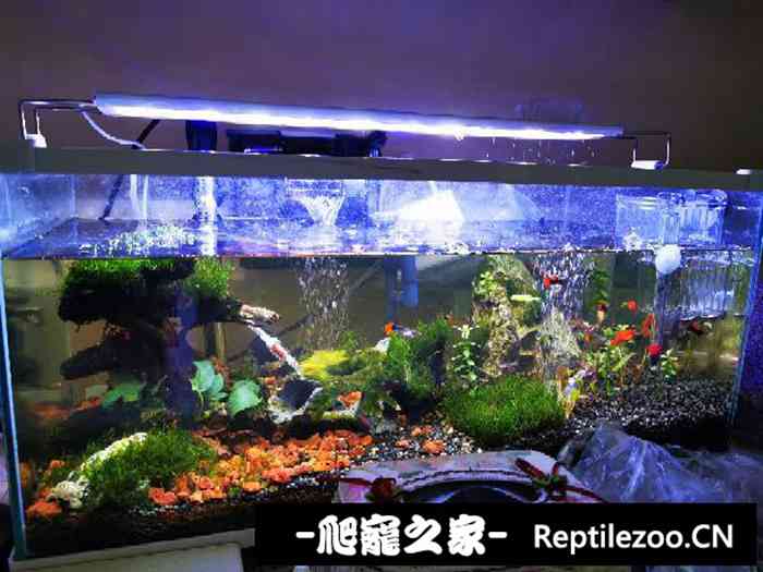 072504djxpcxcc843ysxps.jpg