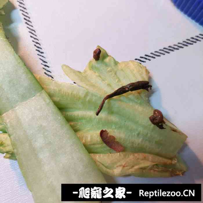 120214qwbk3wbnkj4knwrf.jpg