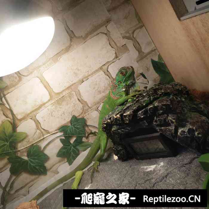 120236jio1no1ig25ncadf.jpg