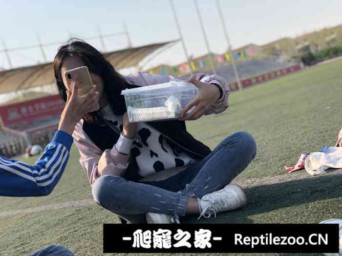 120250a3c9mj1dm44lz21f.jpg