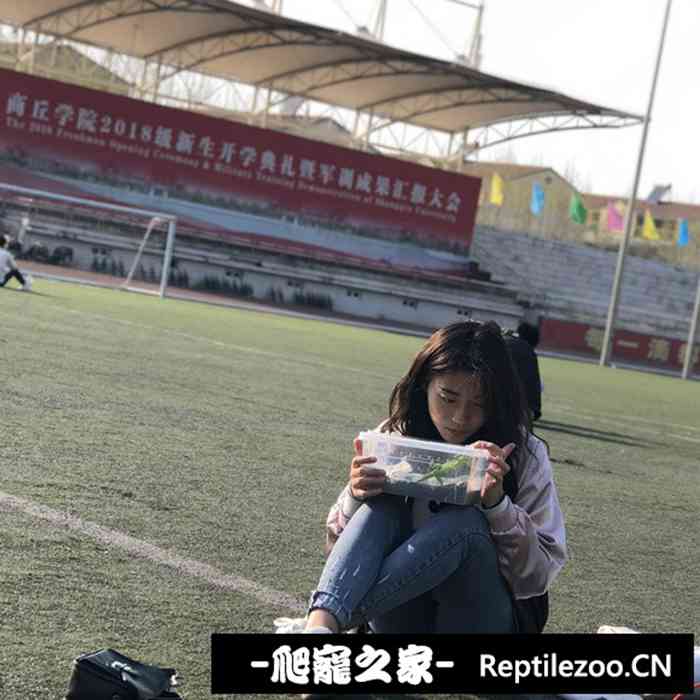 120252dmpq6p6qjfmpg5x6.jpg