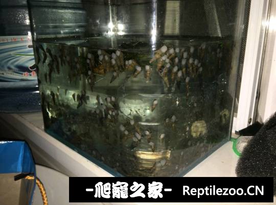 005526ifbfzzrzjjfb9icj.jpg