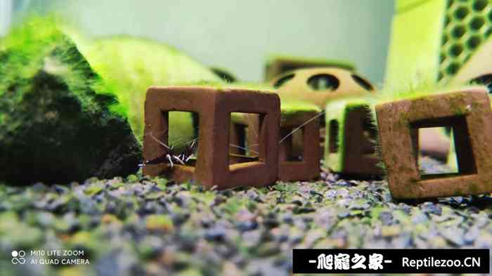 010139kmvmz1mtu2atn9m6.jpg
