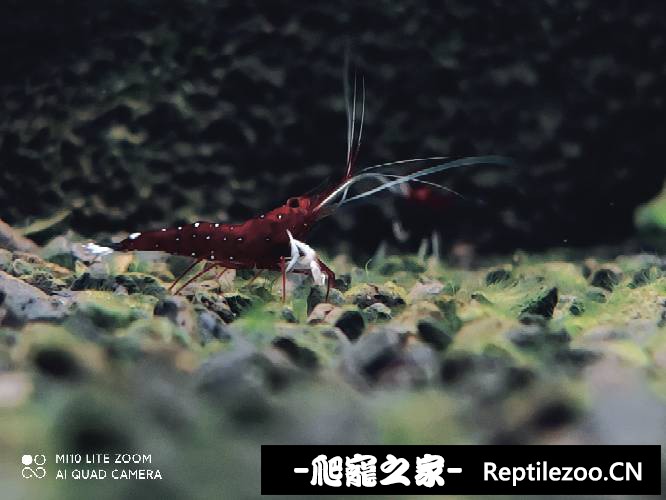 010139uppwezxppue36ppw.jpg