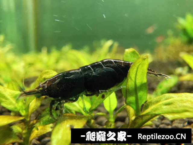 010333xi4viw7ivwupi7p4.jpg