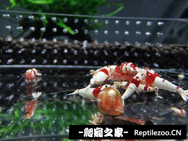010813xo3vg2fppjz51hh3.jpg