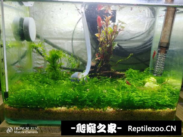010823sapgvve9t1t122dl.jpg