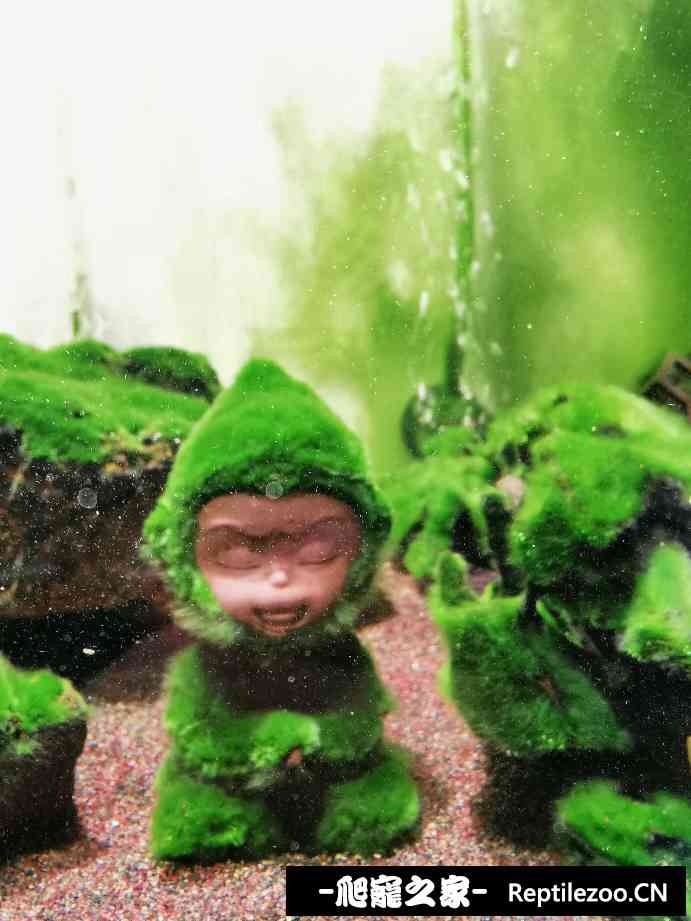 010902o818koheekhxy0ee.jpg