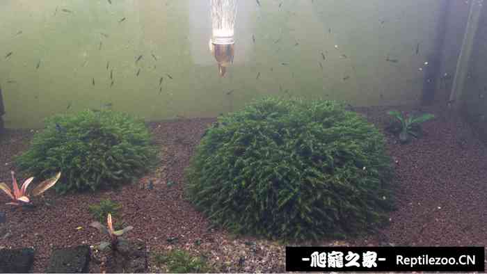 011022fy3bd3ytf370h9zu.jpg